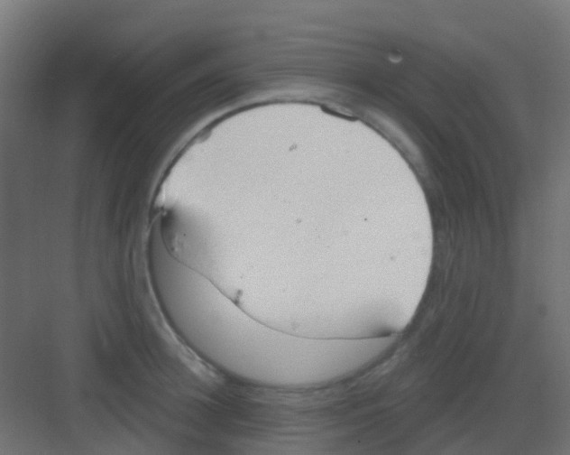 X0000081320948200702082132