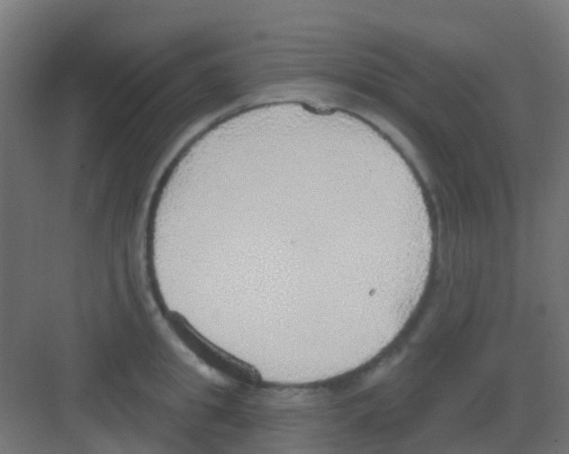 X0000081320949200702082132