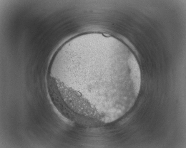 X0000081320951200702082133