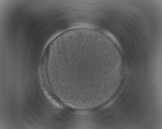 X0000081320952200702082133