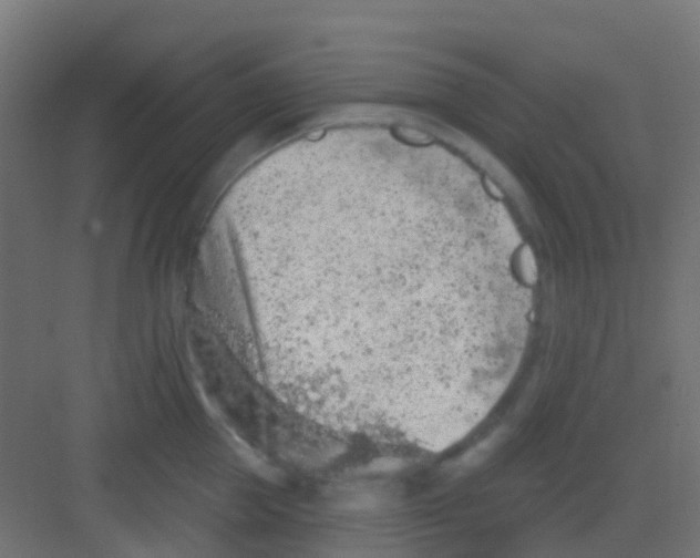 X0000081320953200702082133