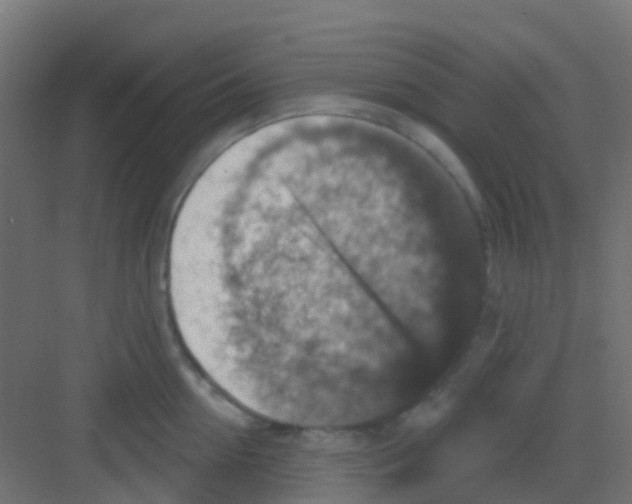 X0000081320954200702082133