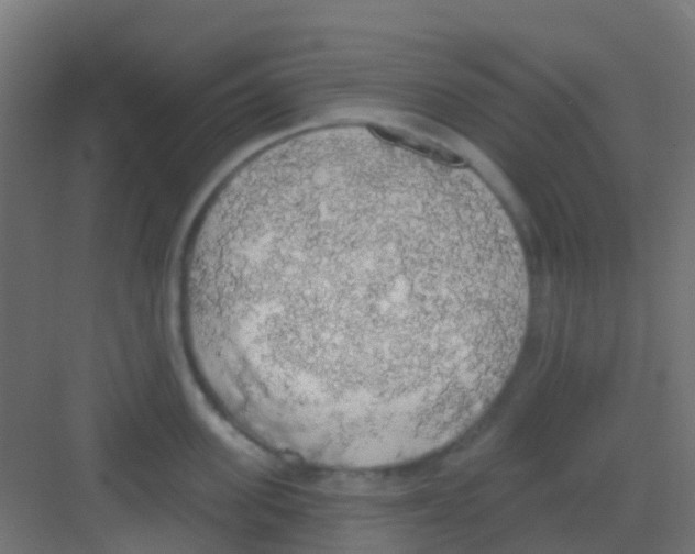 X0000081320955200702082133