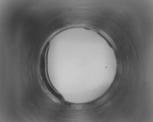 X0000081320956200702082133