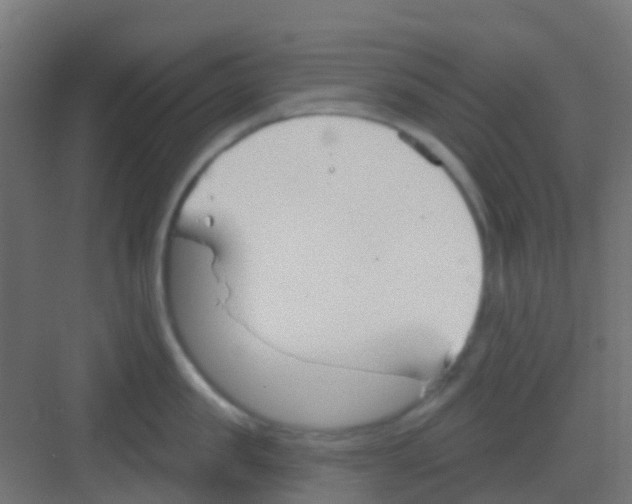 X0000081320957200702082133