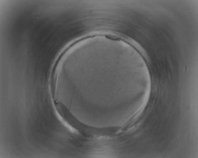 X0000081320958200702082133