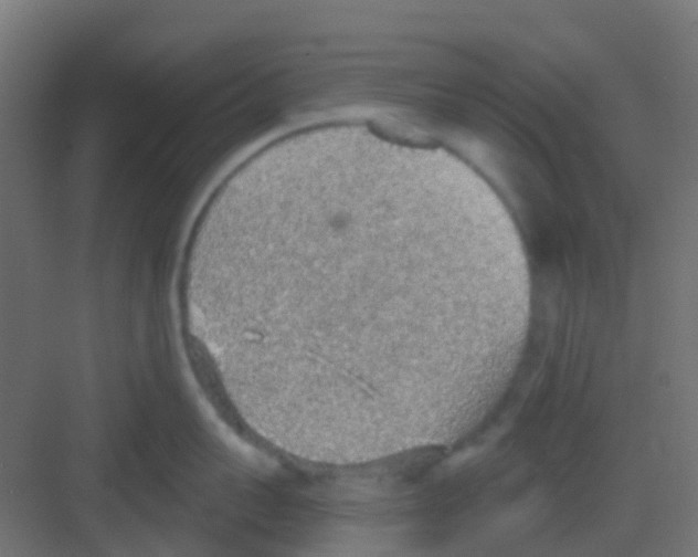 X0000081320959200702082133