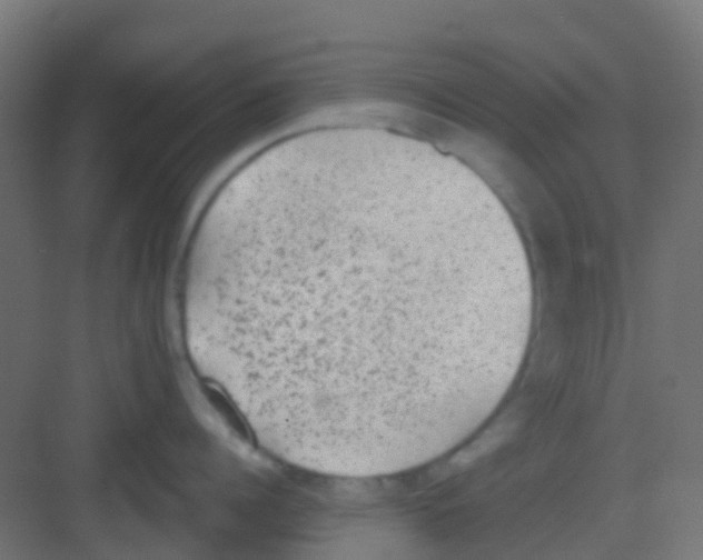 X0000081320960200702082133