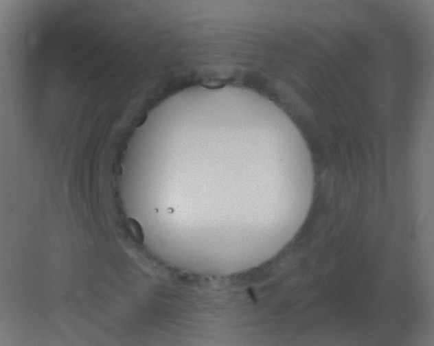 X0000081320961200702082132