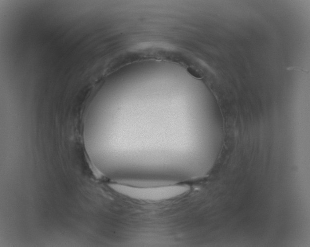 X0000081320965200702082132