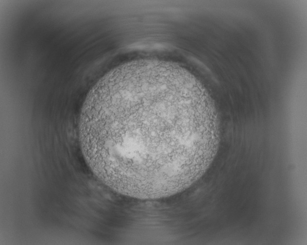 X0000081320966200702082132