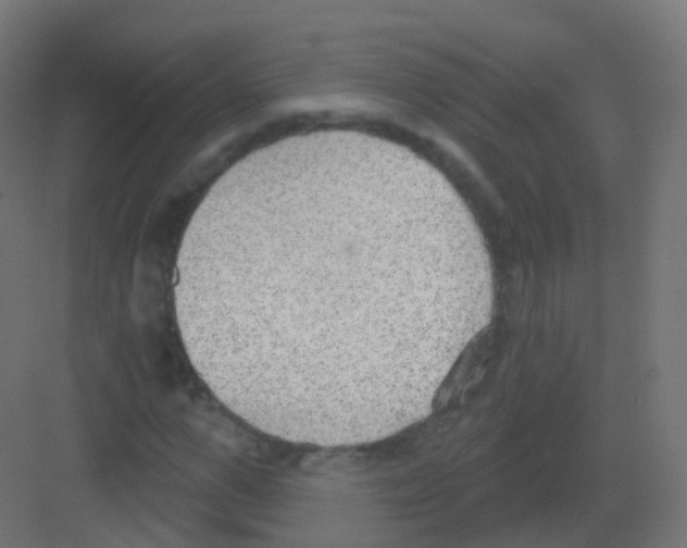 X0000081320967200702082132