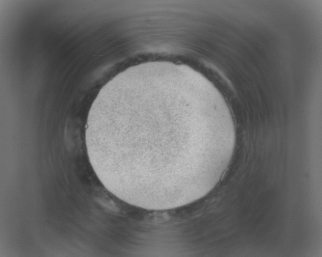 X0000081320968200702082132