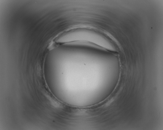 X0000081320969200702082132