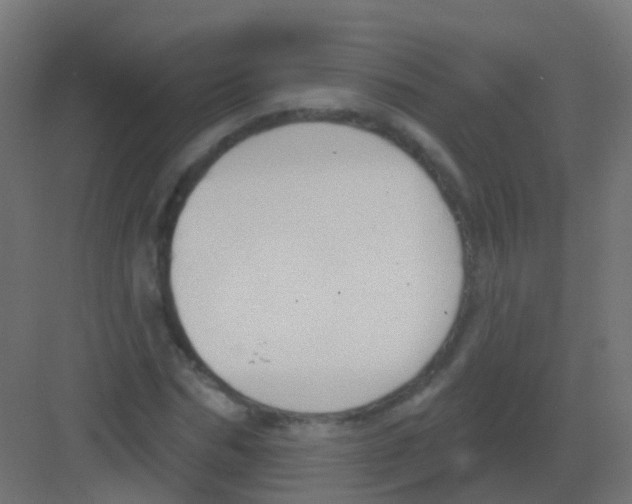 X0000081320970200702082132