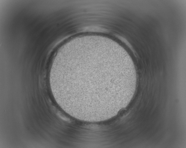 X0000081320971200702082132