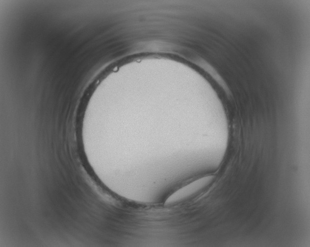 X0000081320972200702082132