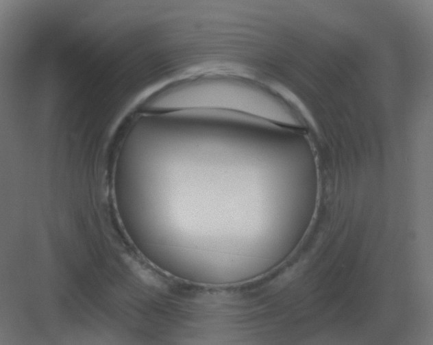 X0000081320973200702082132