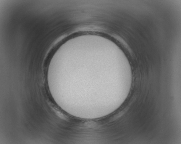 X0000081320974200702082132