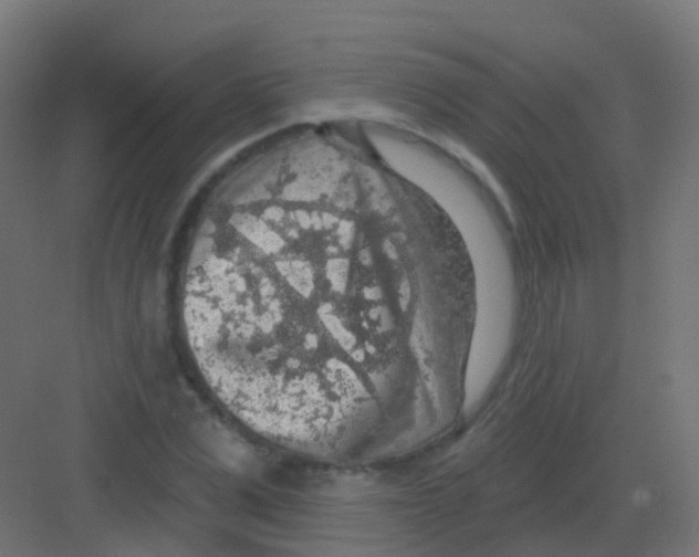 X0000081320975200702082132