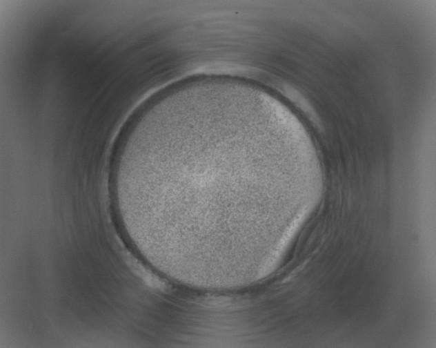 X0000081320976200702082132