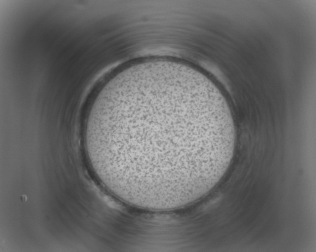 X0000081320979200702082132