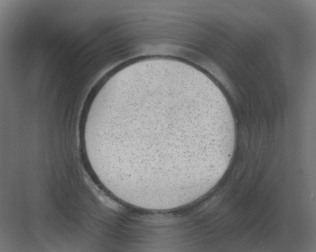 X0000081320980200702082132