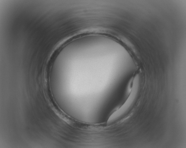 X0000081320981200702082132