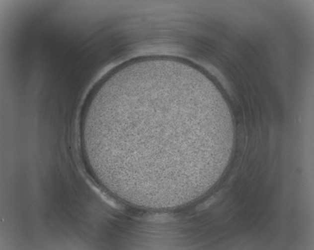 X0000081320982200702082132