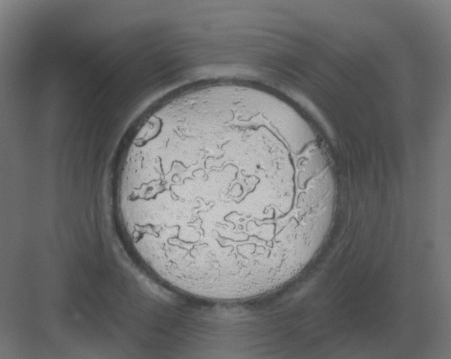 X0000081320983200702082131