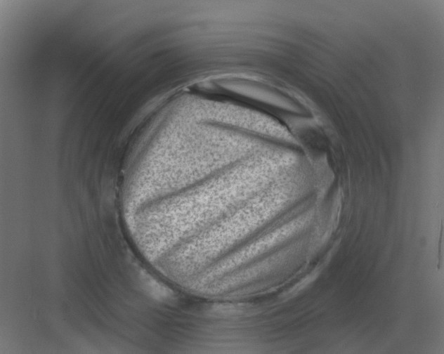 X0000081320985200702082131