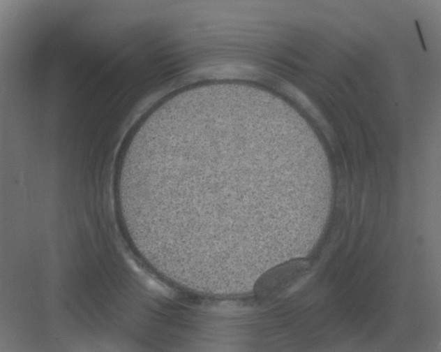 X0000081320986200702082131