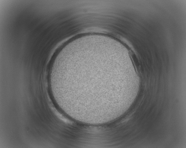 X0000081320987200702082131