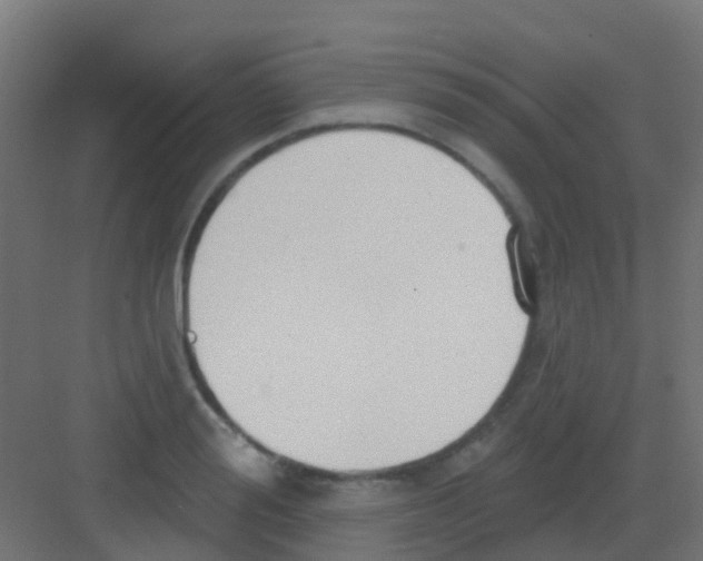 X0000081320988200702082131