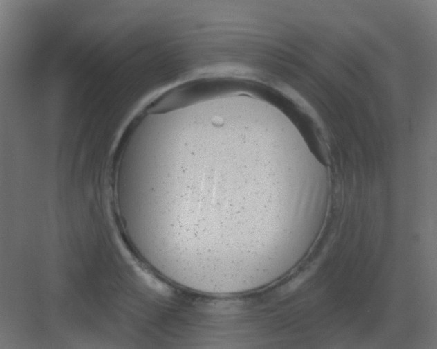 X0000081320989200702082131