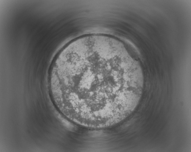 X0000081320990200702082131