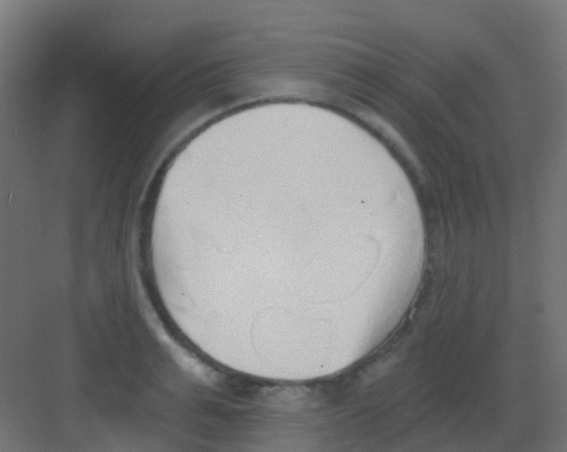 X0000081320991200702082131