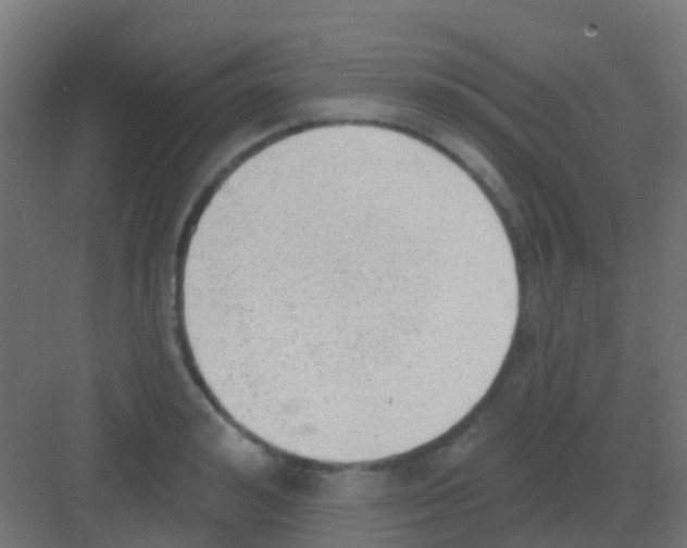 X0000081320992200702082131