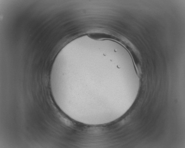 X0000081320993200702082131