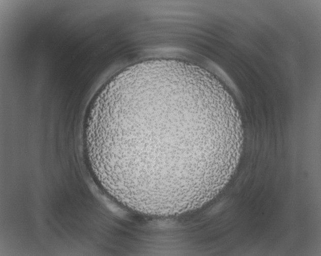 X0000081320994200702082131