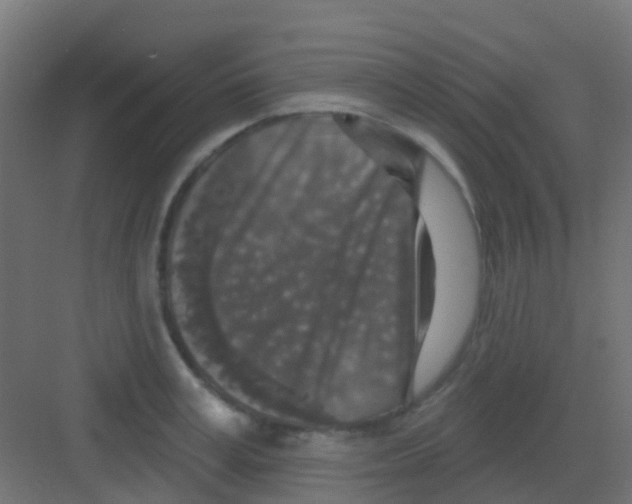 X0000081320995200702082131