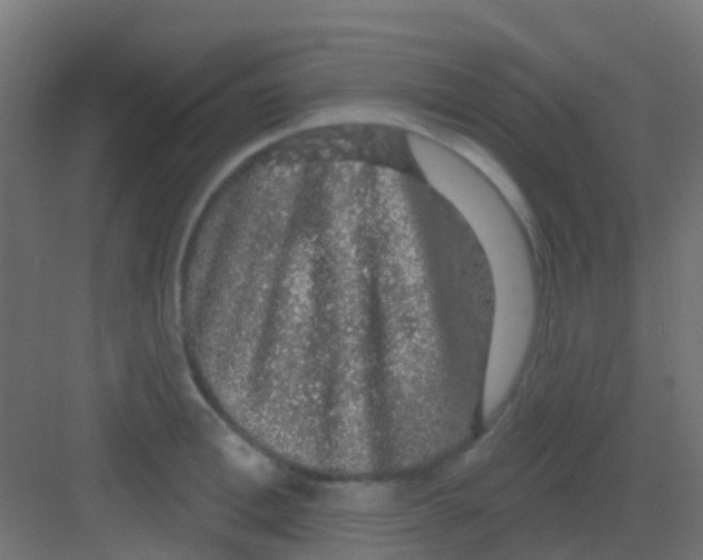 X0000081320996200702082131