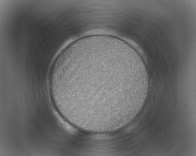 X0000081320998200702082131