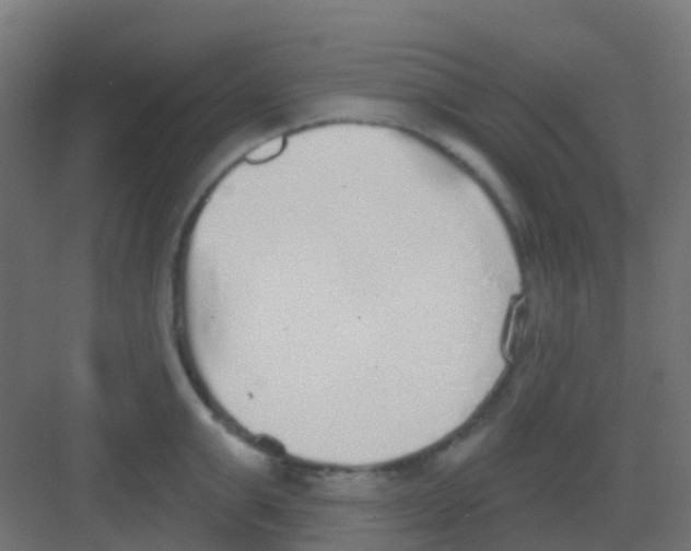 X0000081320999200702082131