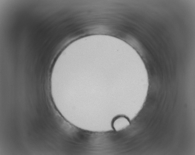 X0000081321000200702082131