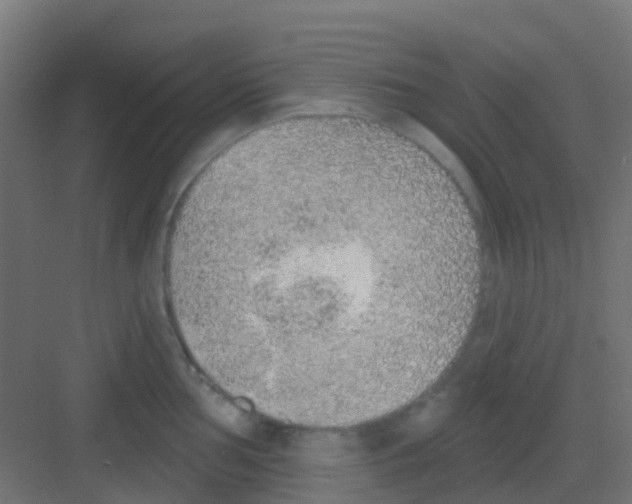 X0000081321002200702082131