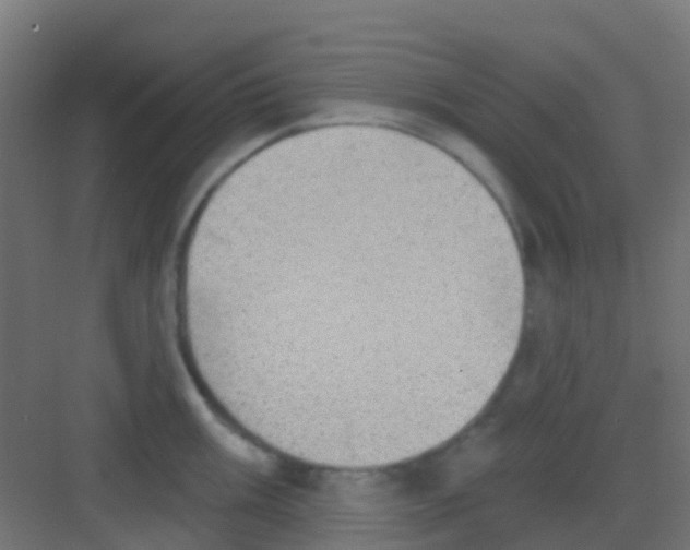 X0000081321003200702082131