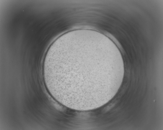 X0000081321004200702082131