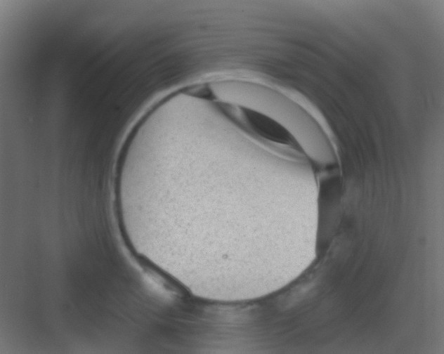 X0000081321005200702082131