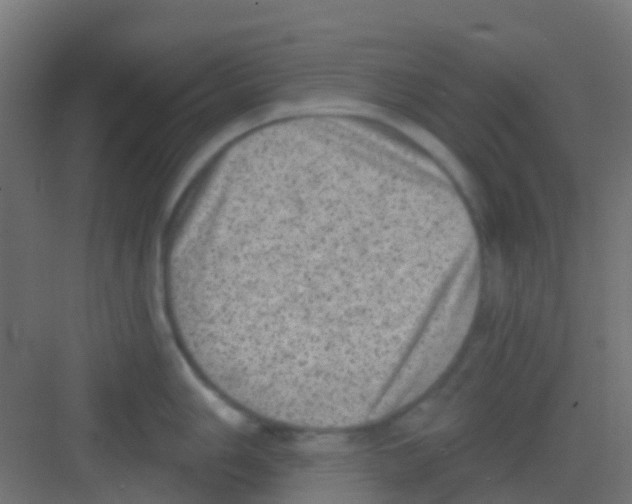 X0000081321006200702082131